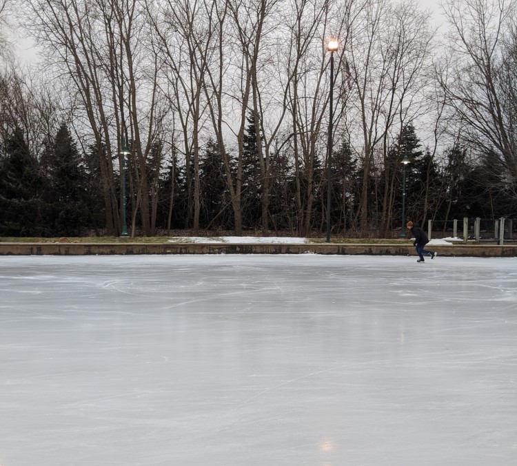The Ice Rink at Millennium Park (Portage,&nbspMI)